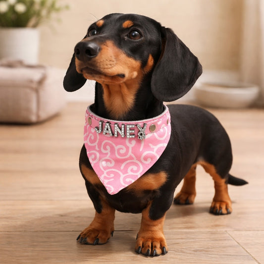 Aidosta nahasta valmistettu koiran kaulanauha, jossa on nimi ja koiran kaulapanta. Täydennetty kimaltavilla strassikivikirjaimilla.