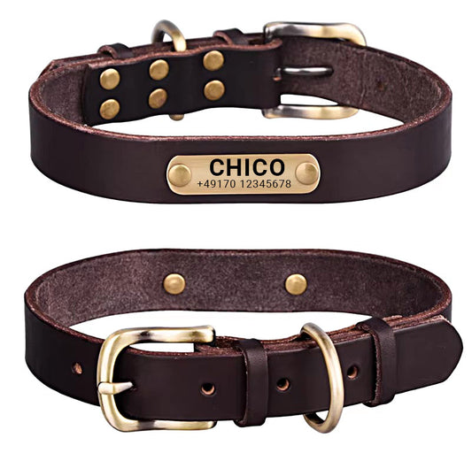 Aitoa nahkaa oleva koiran kaulapanta messinkisoljella neljässä eri värissä ja ilmainen kaiverrus nimestä ja puhelinnumerosta.