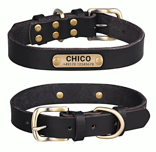 Aitoa nahkaa oleva koiran kaulapanta messinkisoljella neljässä eri värissä ja ilmainen kaiverrus nimestä ja puhelinnumerosta.