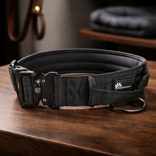 Taktinen koiran kaulapanta suurille koirille kaiverrettu nimi