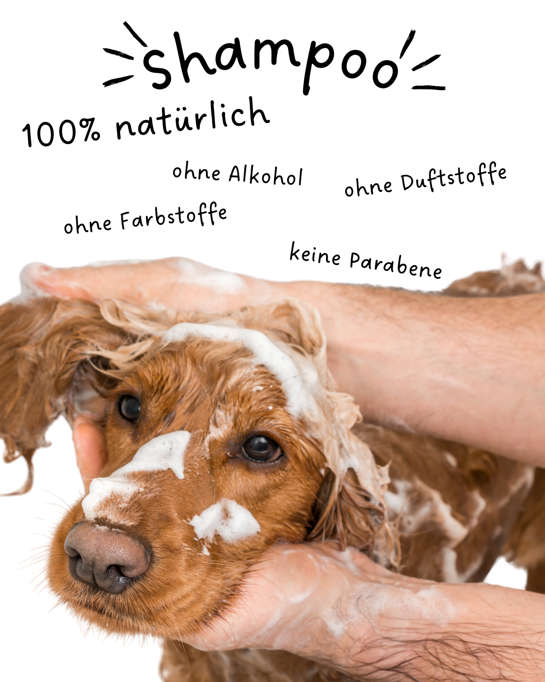 Riolino Shiny Fur Shampoo - Hellävarainen hoito kiiltävälle turkille.
