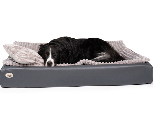All-In Relax Bundle | KUDDE Hundebett + Einlage & Kissen