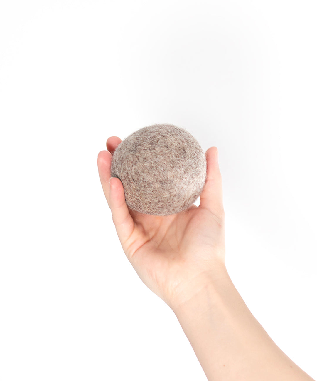 BUDDY. Koiran lelu huopavillasta "Pallo"