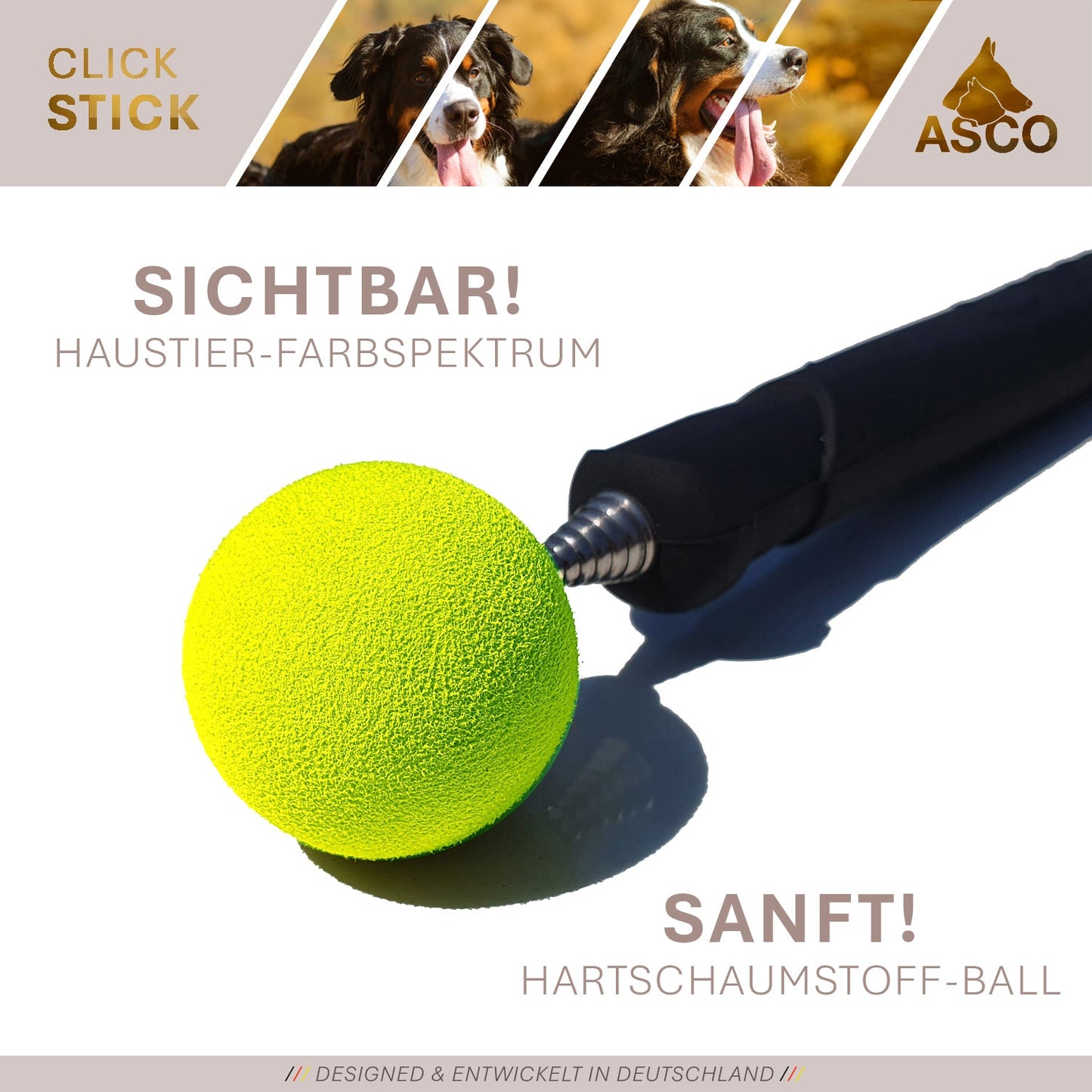 ASCO ClickStick - Target stick with detachable premium clicker - Target stick for dog cat clicker training - Extendable target stick with extra clicker - Target stick for target training - Target stick for target training