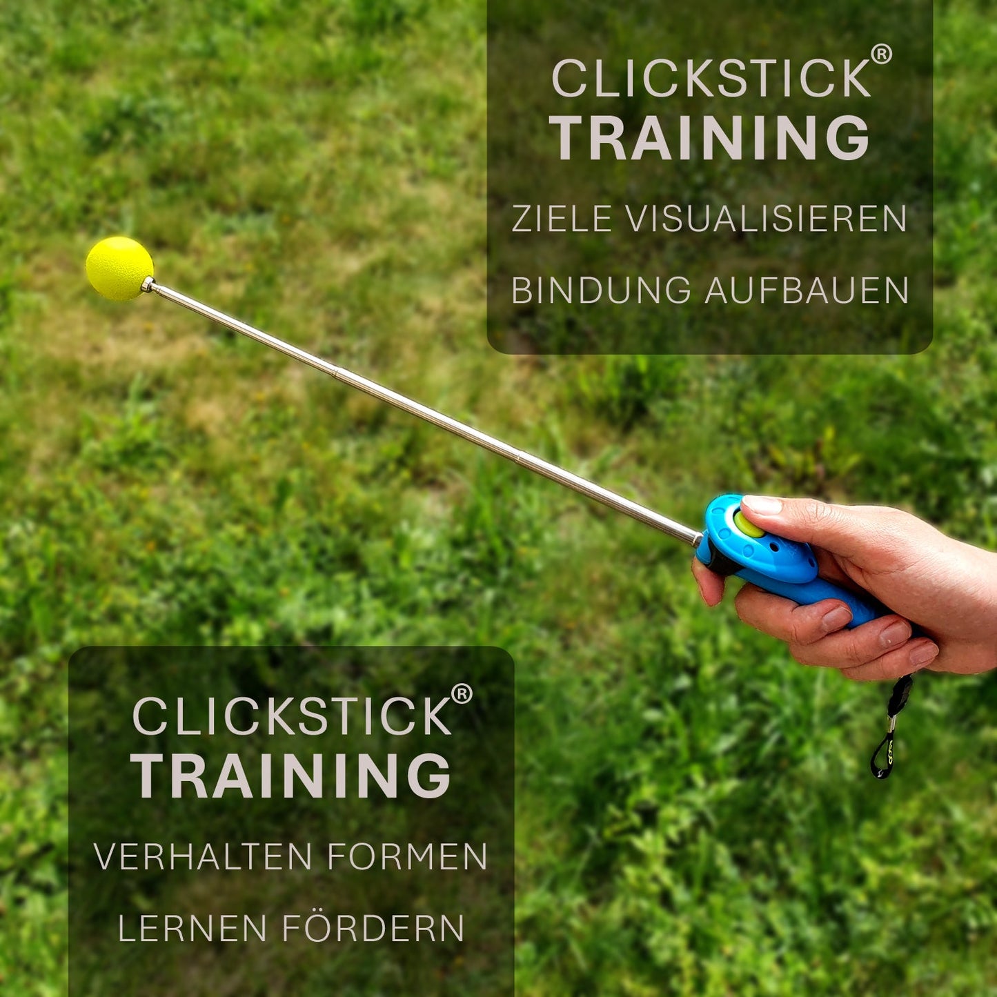 ASCO ClickStick - Target stick with detachable premium clicker - Target stick for dog cat clicker training - Extendable target stick with extra clicker - Target stick for target training - Target stick for target training