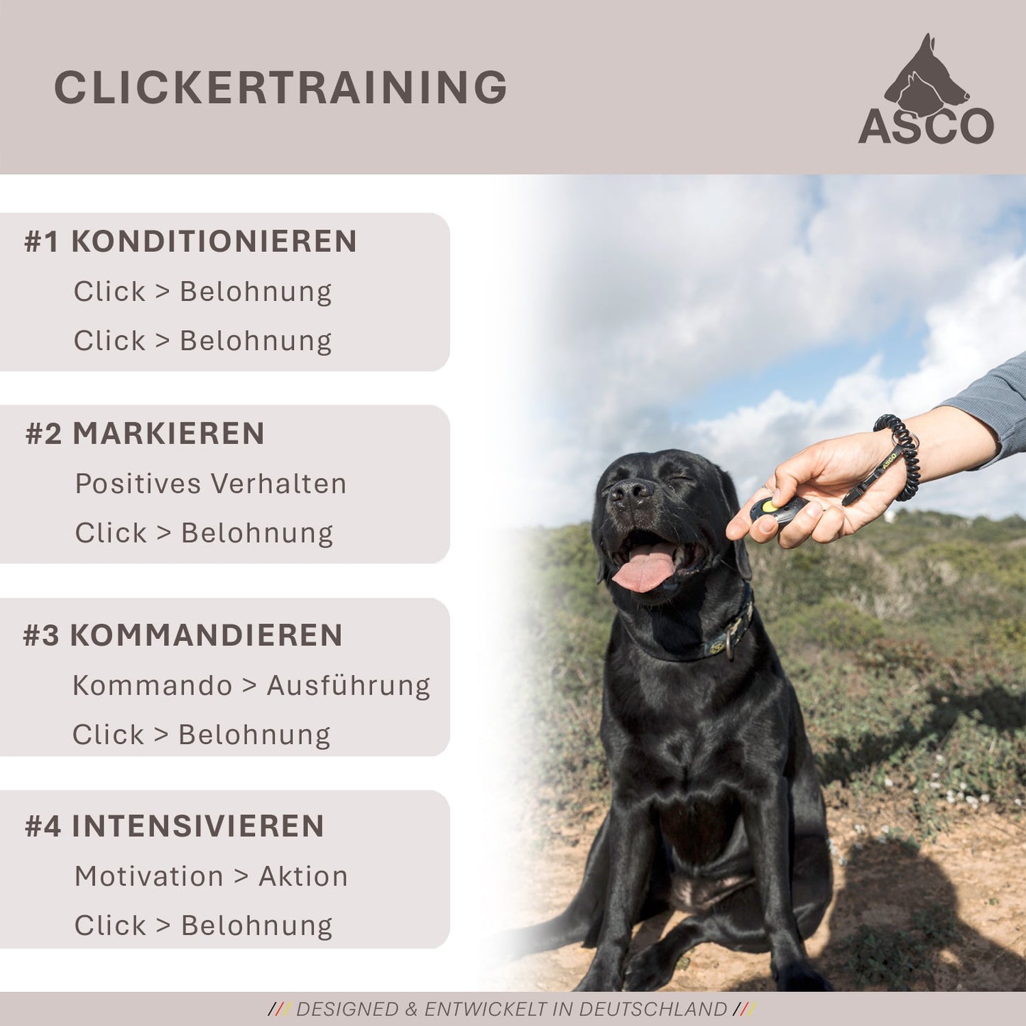 ASCO Finger Clicker - Clicker training premium clicker koirille, kissoille ja hevosille