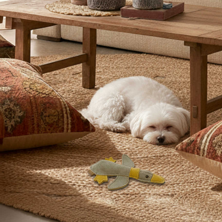 BUDDY. Koiranlelu nahasta "Pieni ankka"