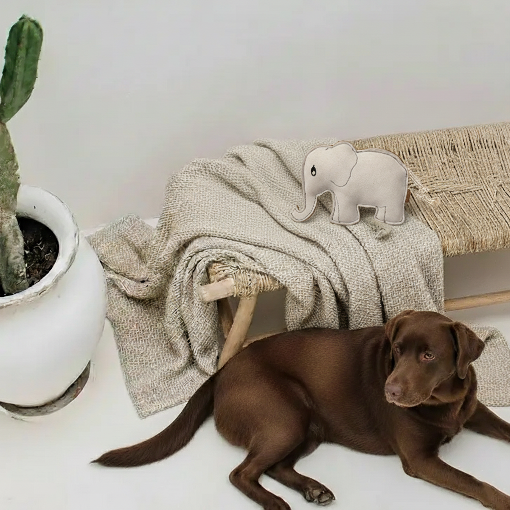 BUDDY. Koiran lelu nahasta "Elefantti"