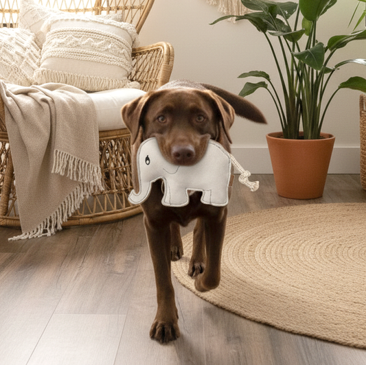 BUDDY. Koiran lelu nahasta "Elefantti"