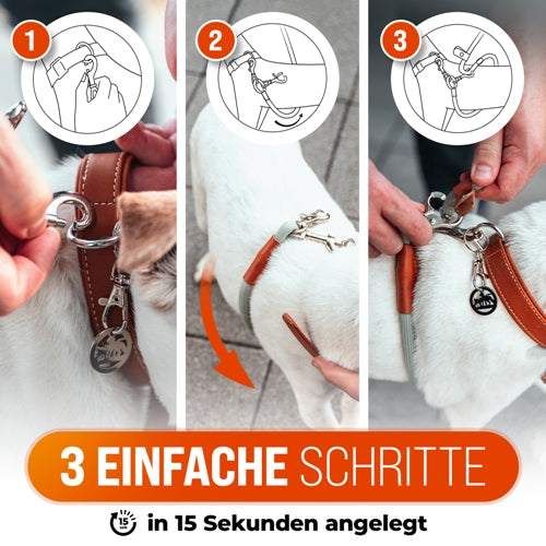 LeichtLaufLeine® lyhyt talutushihna ja harjoitteluhihna parempaan hihnahallintaan