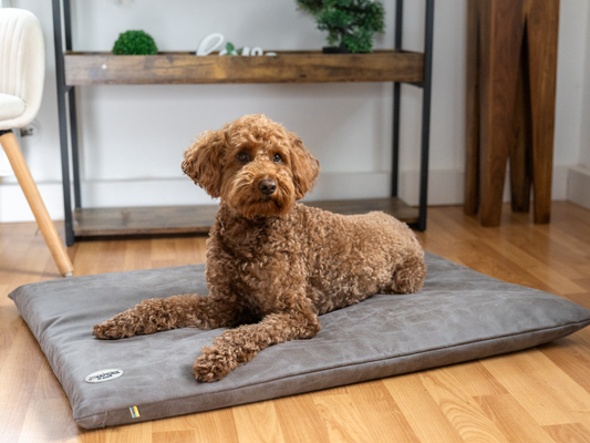 Koiran makuualusta JOKKMOKK vegaaninen mokkanahka