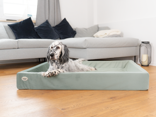 Koiransänky KUDDE Sametti