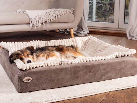 Koiranpeti KUDDE vegaaninen mokkanahka