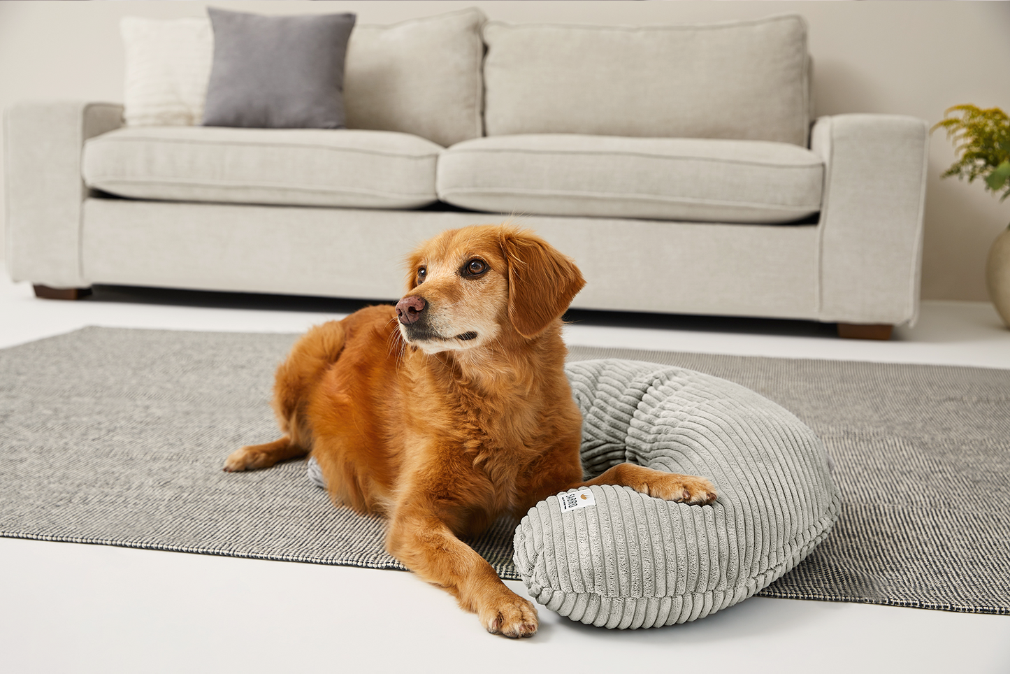 Päällinen SCHMUSEHÖRNCHEN Cordille