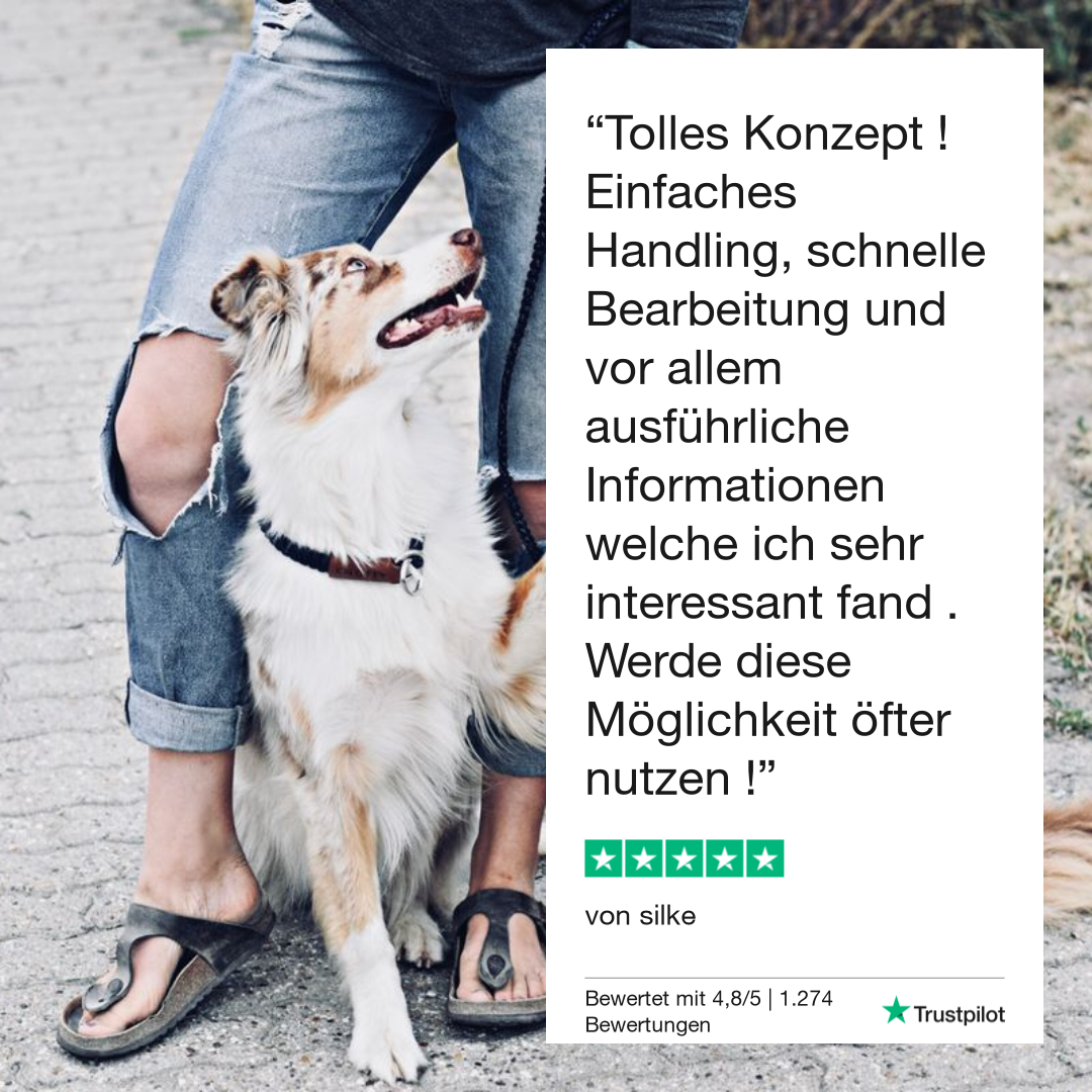 Giardiatesti koiralle
