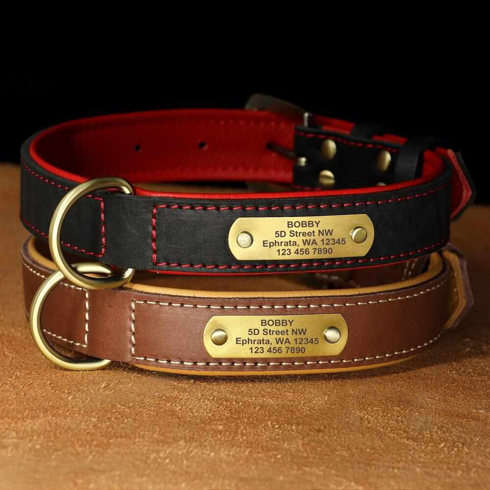 Exklusives Leder Hundehalsband mit großer Gravurplatte und gratis Gravur