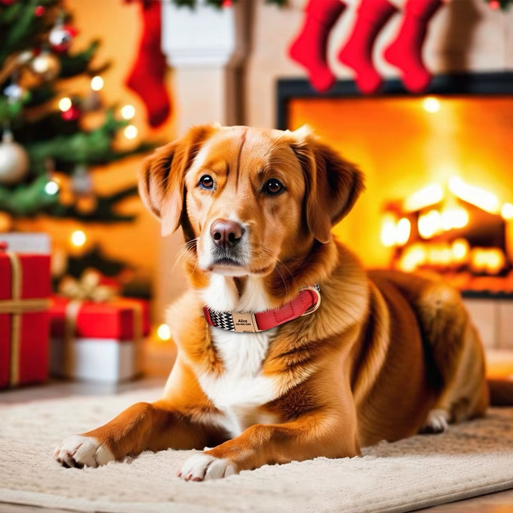 Henkilökohtainen koiran kaulapanta Lovi nylonista ja nahasta - Nimi ja puhelinnumero (S-L)