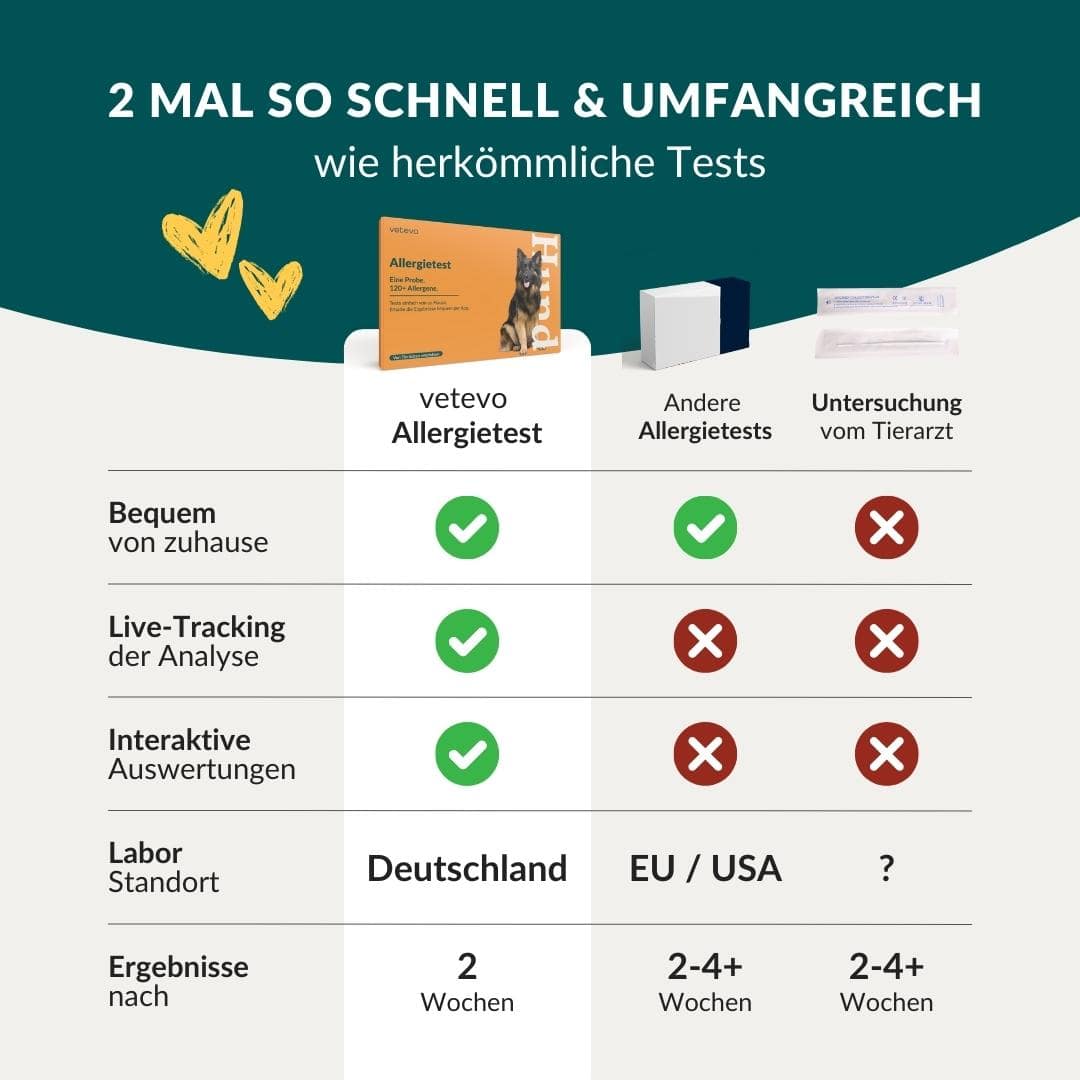 Allergiatesti koiralle 