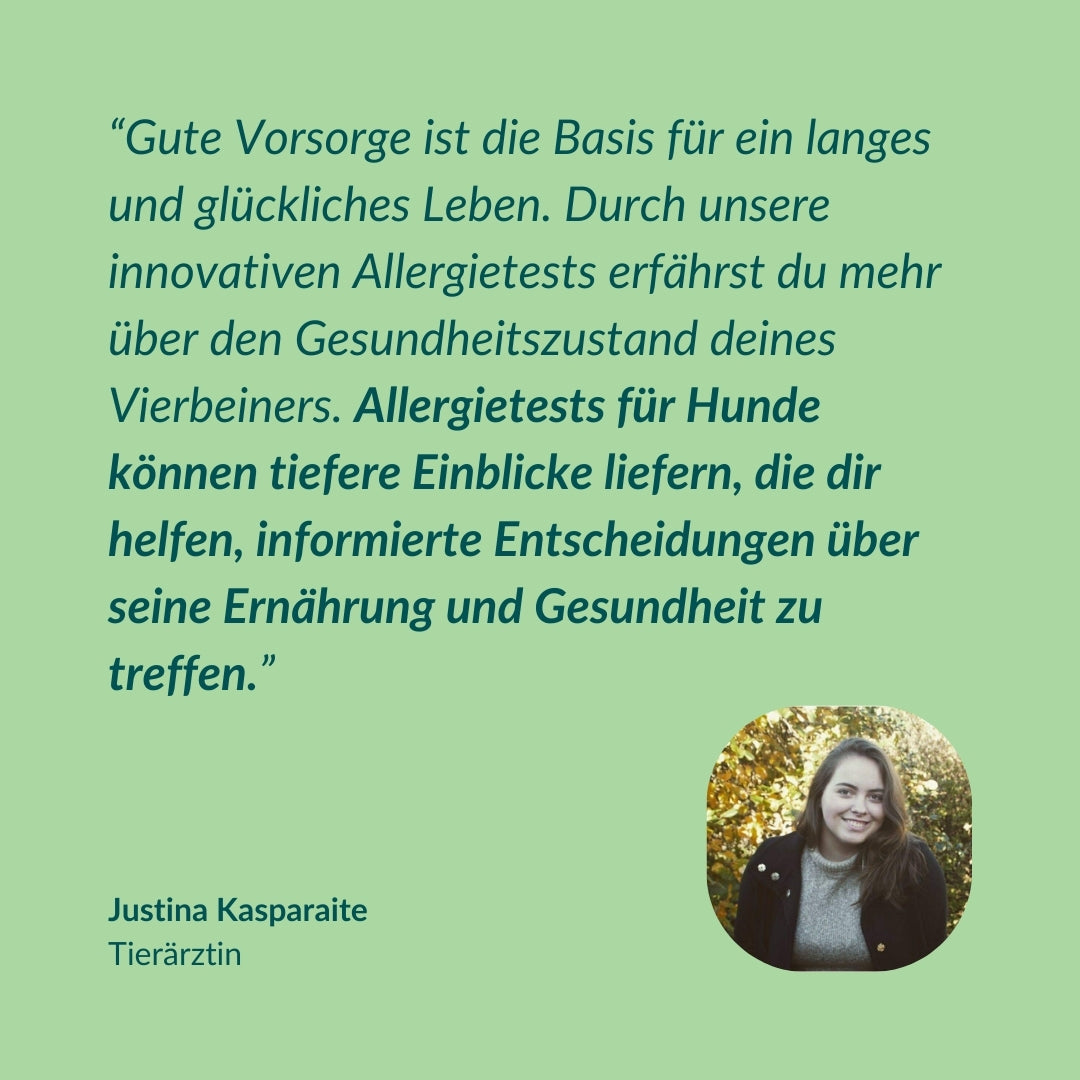 Allergiatesti - Vihannekset, viljat & Co. Koira 