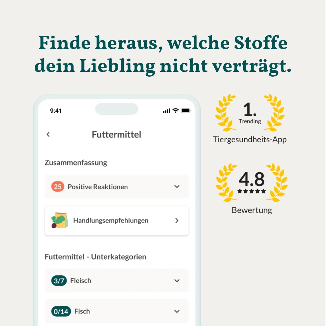 Allergiatesti - Vihannekset, viljat & Co. Koira 