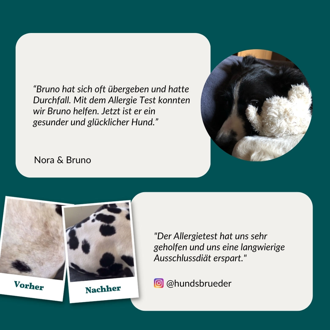 Allergiatesti - Vihannekset, viljat & Co. Koira 