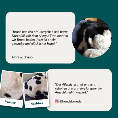 Allergiatesti - Vihannekset, viljat & Co. Koira 