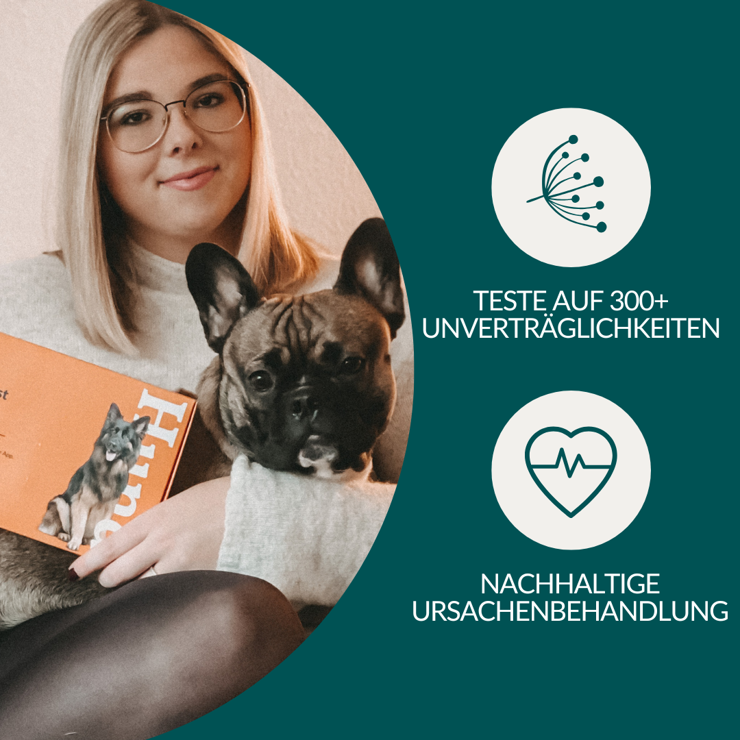 Allergiatesti koiralle 