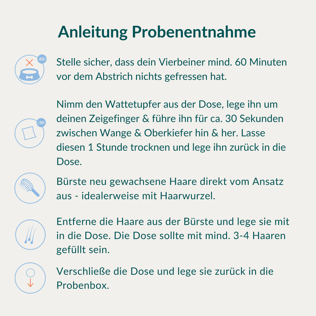 Allergiatesti - Vihannekset, viljat & Co. Koira 