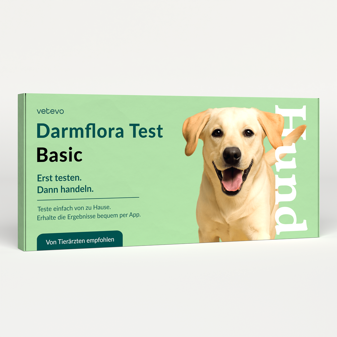 Suoliston mikrobiston testi koiralle 