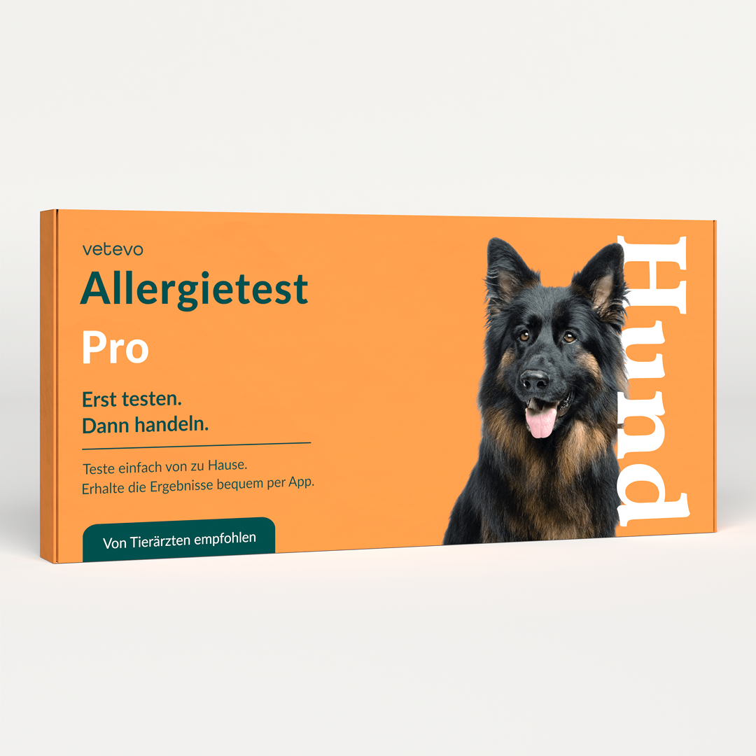 Allergiatesti koiralle 