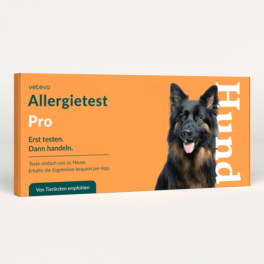 Allergiatesti koiralle 
