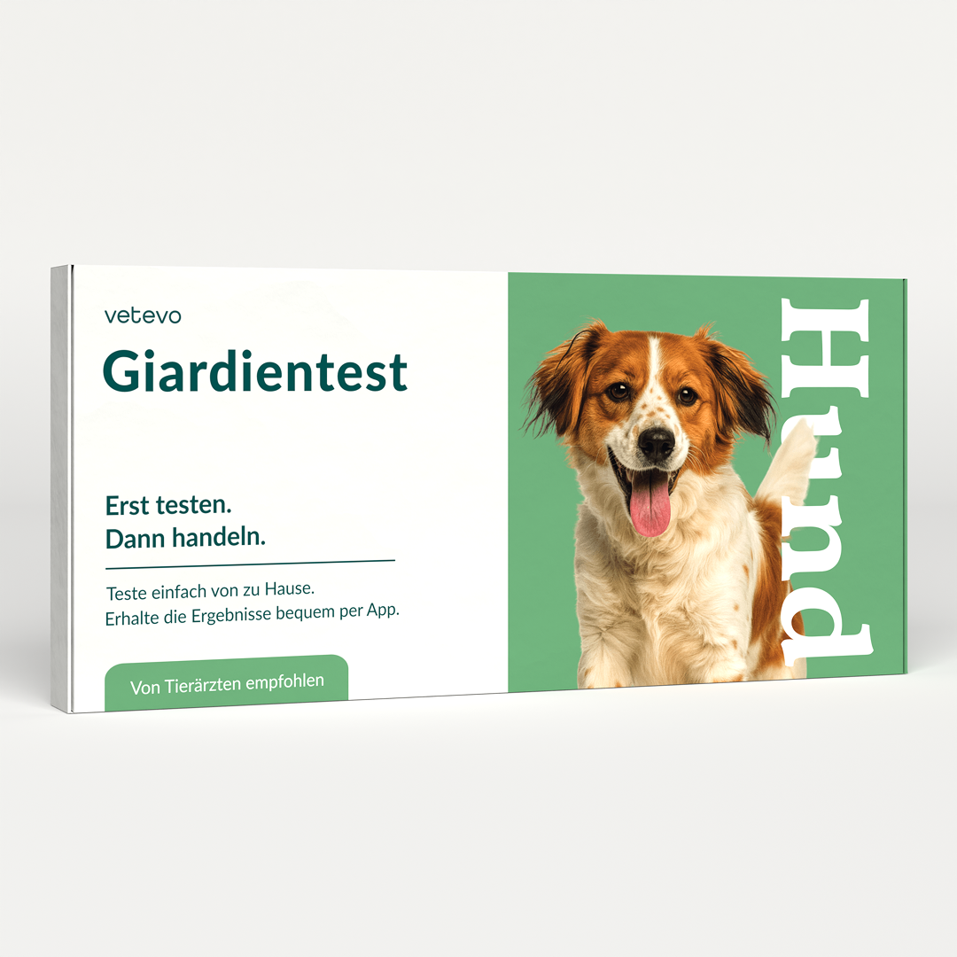 Giardiatesti koiralle 