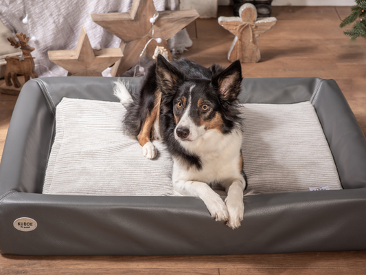 Sisätyyny KUDDE MUMIN Cord 