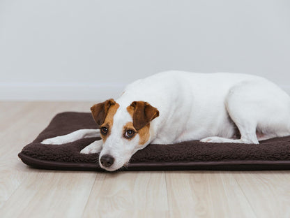 Koiranmatto HYGGE PAD 