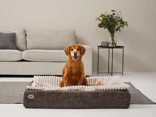 MJUCK leveä vakosametti 