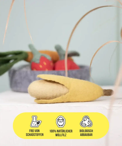 BUDDY. Koiranlelu huopavillasta "Banaani" 