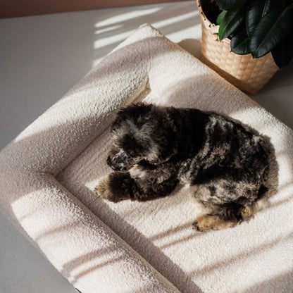 Koiransänky Barklay koko M Bouclé-päällisellä 