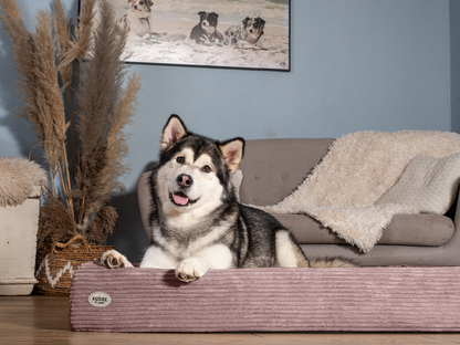 Bezug für KUDDE Cord