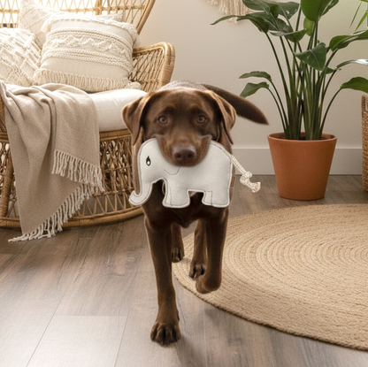 BUDDY. Koiran lelu nahasta "Elefantti" 