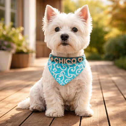 Aidosta nahasta valmistettu koiran kaulanauha, jossa on nimi ja koiran kaulapanta. Täydennetty kimaltavilla strassikivikirjaimilla.