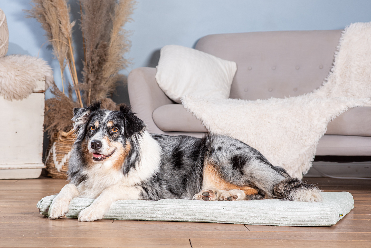 Koiran makuualusta JOKKMOKK Cord 