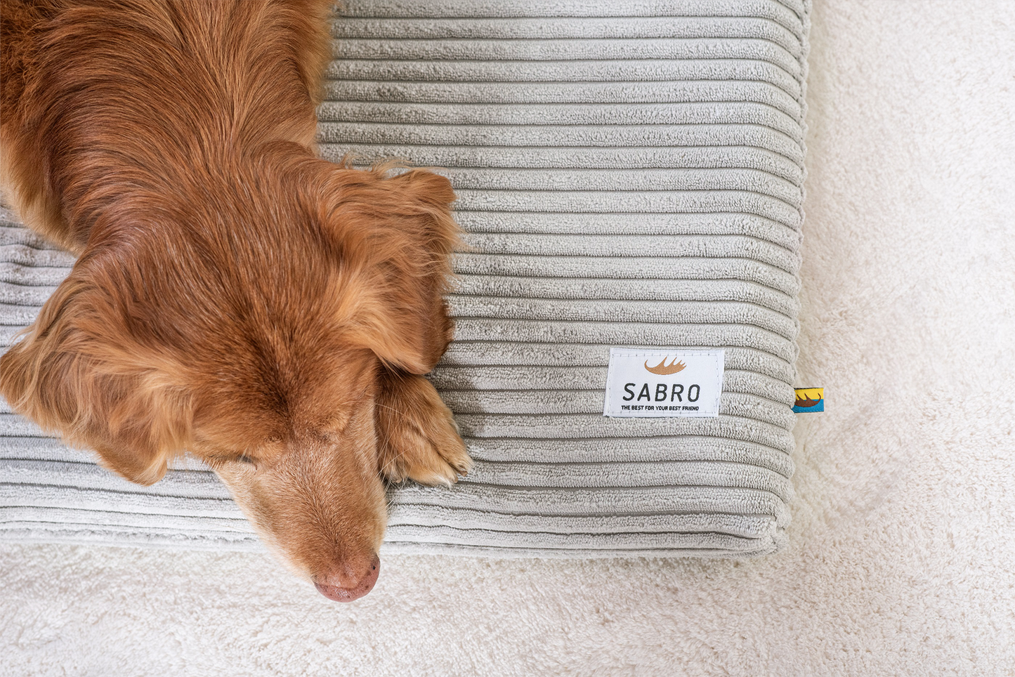 Koiran makuualusta JOKKMOKK Cord 