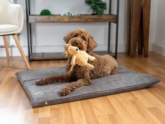 JOKKMOKK vegaaninen mokkanahkaverhoilu 