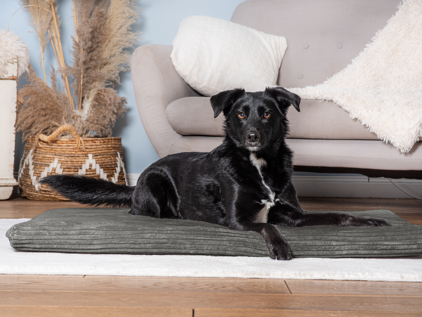 Koiran makuualusta JOKKMOKK Cord 