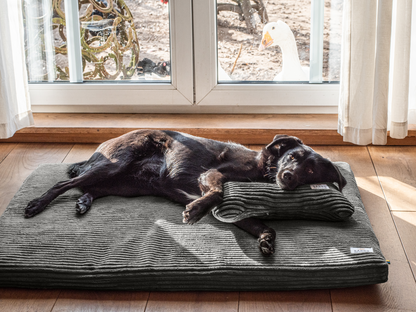 Koiran makuualusta JOKKMOKK Cord 