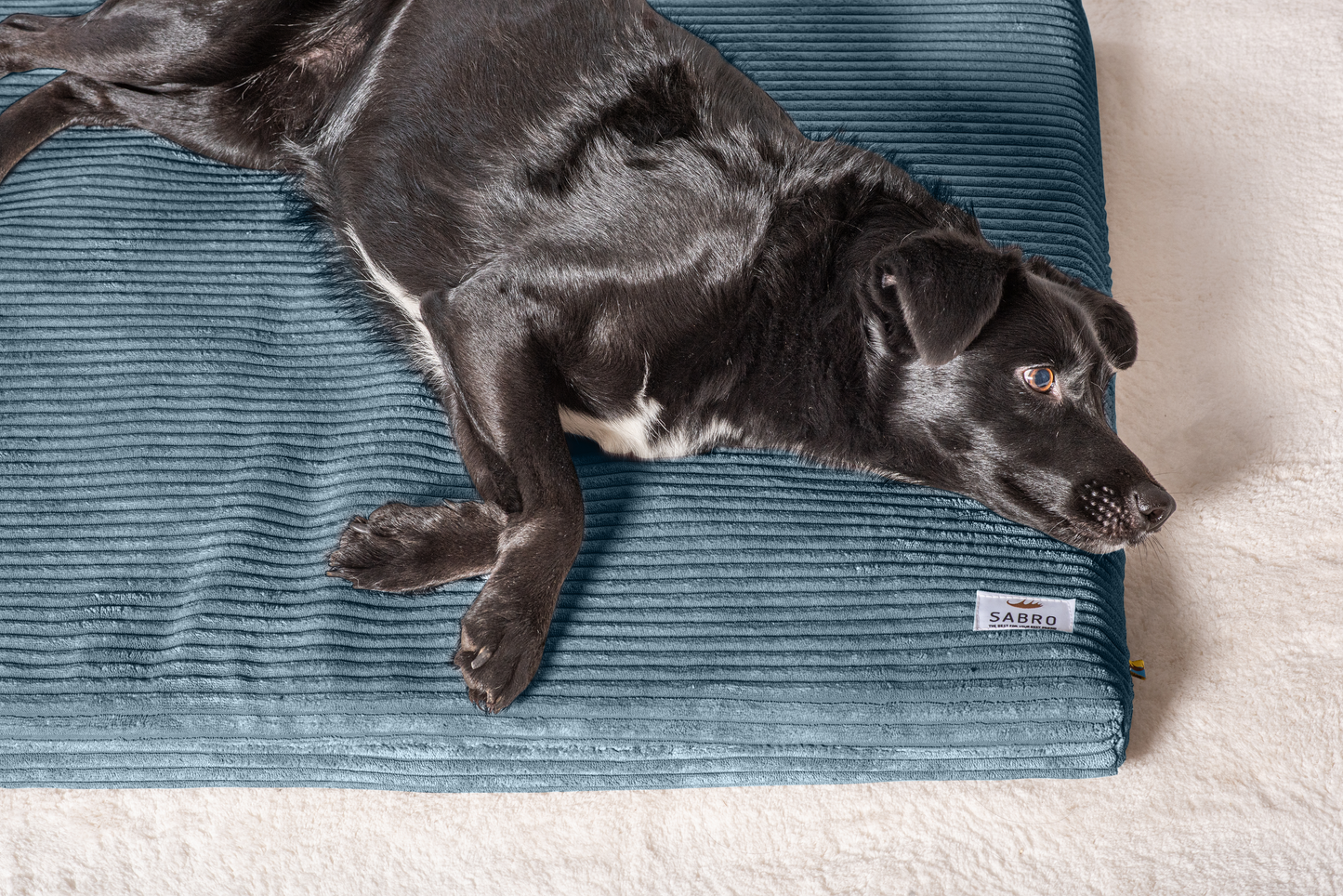 Koiran makuualusta JOKKMOKK Cord 
