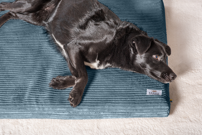 Koiran makuualusta JOKKMOKK Cord 