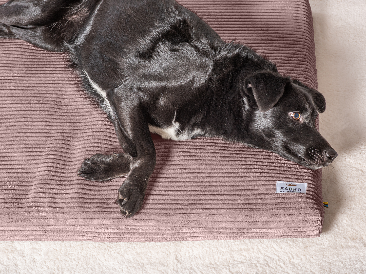 Koiran makuualusta JOKKMOKK Cord 