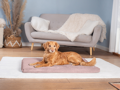 Koiran makuualusta JOKKMOKK Cord 