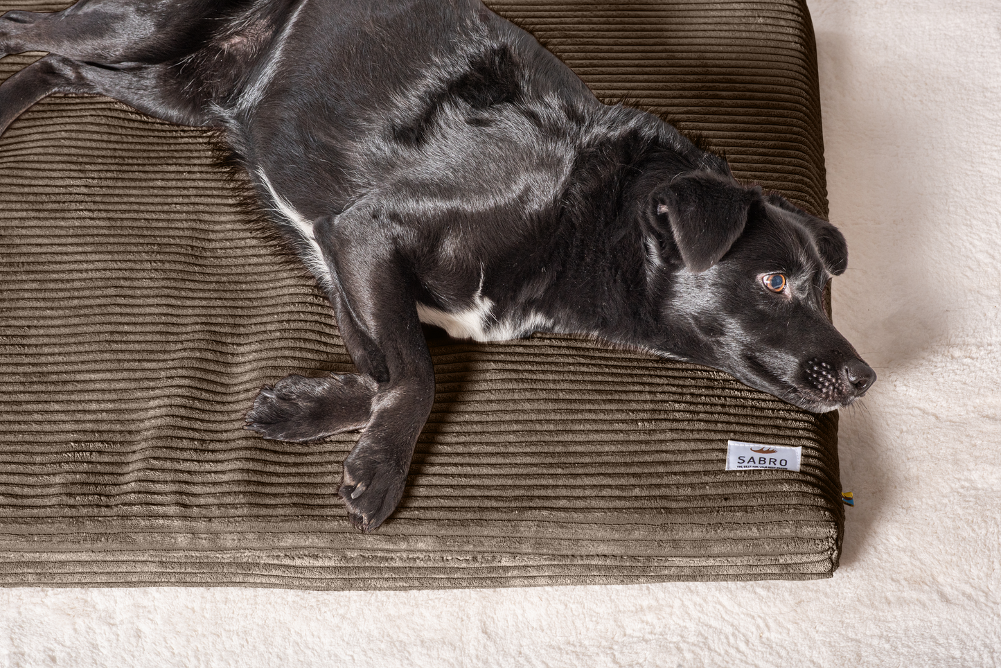 Koiran makuualusta JOKKMOKK Cord 